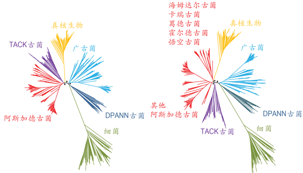 猛深大李猛教授在自然发表研究长文