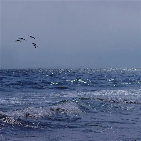 带有一点的丧的伤感背景图,喜欢伤感孤独的大海可以收藏着哦