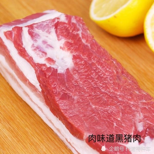 肉味道带你品尝黑猪肉 回味猪肉"老味道"