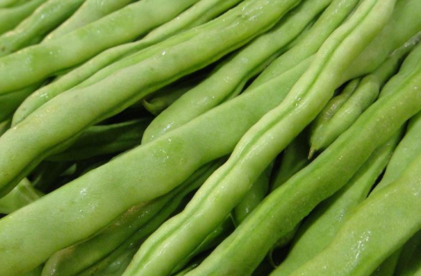 春季养生,你对刀豆了解多少?#低音号养生#_腾讯新闻