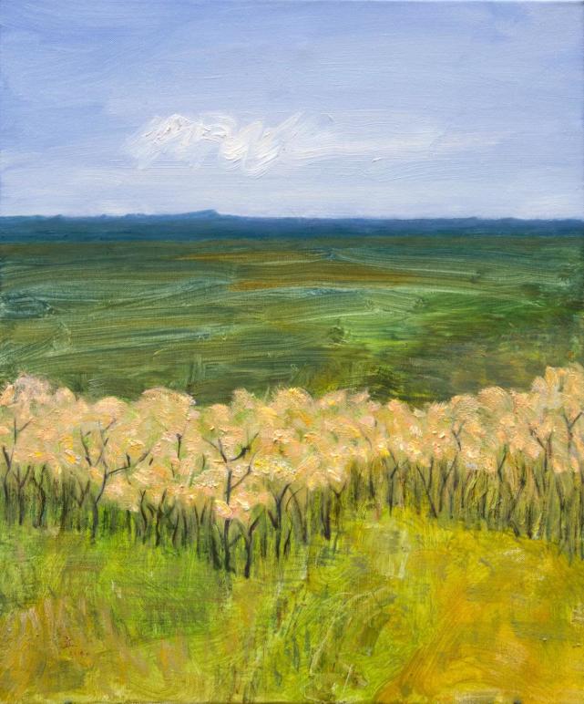 《希望的田野》 油画 70x50cm