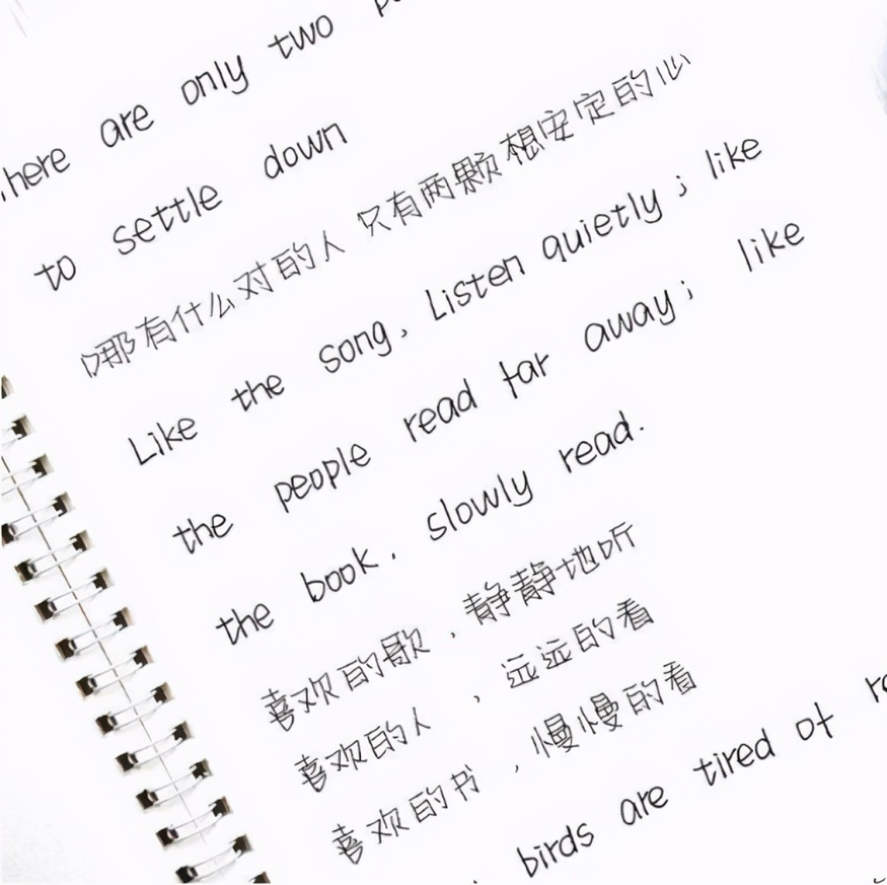 网红字体柚圆体火了字体规范又清新老师被这一字体圈粉了