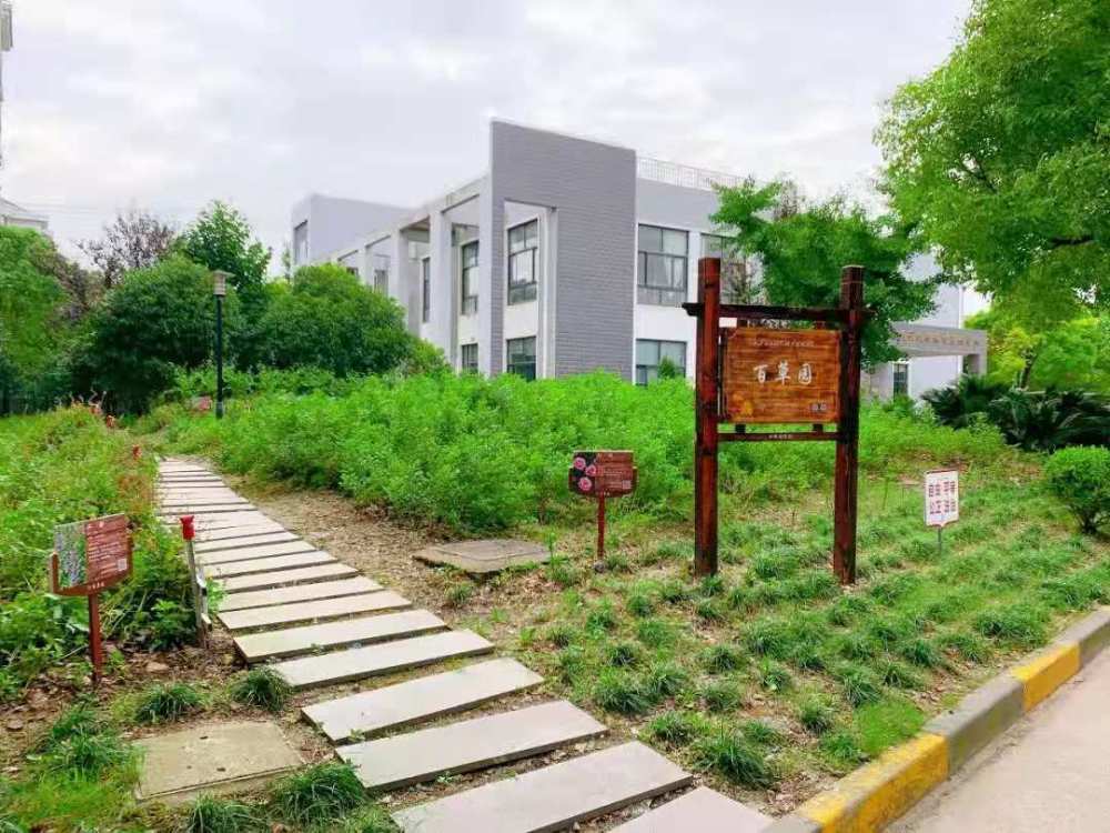 居民区党支部动起脑筋,将社区活动中心南侧半亩地试点开辟为"百草园"