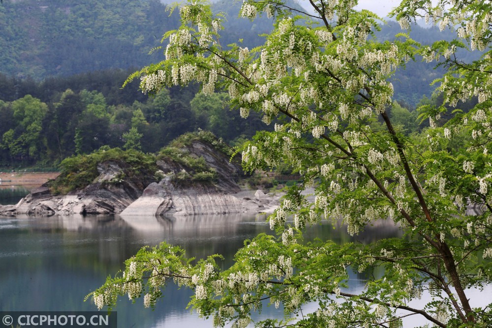 cicphoto/劉憲國 攝2021年4月28日在湖南張家界國家森林公園黃石寨