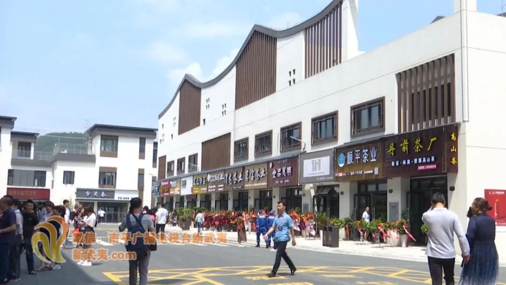 政和等你来喝茶中国白茶城启动运营