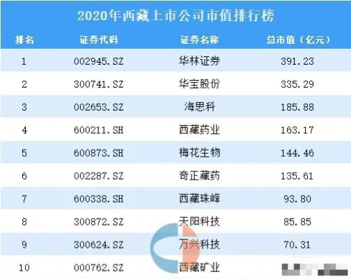 西藏十大上市公司中有4個市值都低於一百億,最少的西藏礦業總市值只有