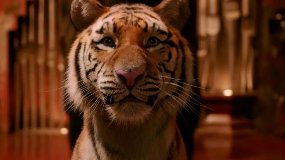 马丽宋佳阳光劫匪曝光终极预告