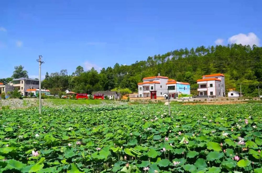 国家4a级旅游景区广晟御临门温泉度假村成为了九和镇经济发展的支柱.