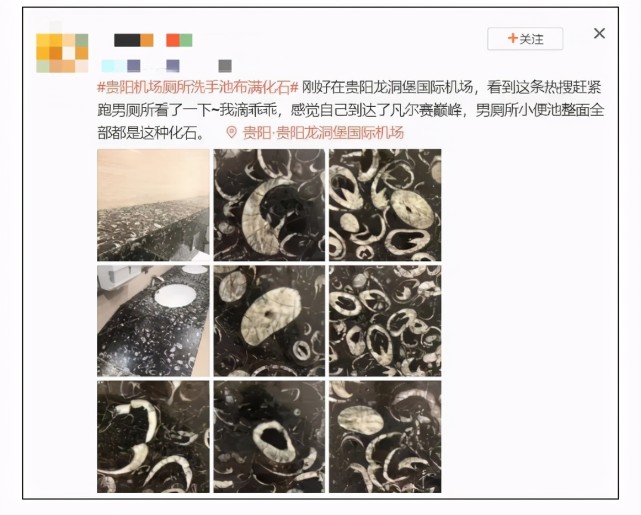 厕所洗手池布满4.4亿年前化石?网友:好羡慕!史上最凡尔赛