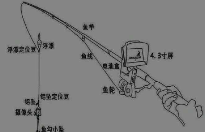 这件事不要再做!陵城区5名男子因捕鱼被集体判刑