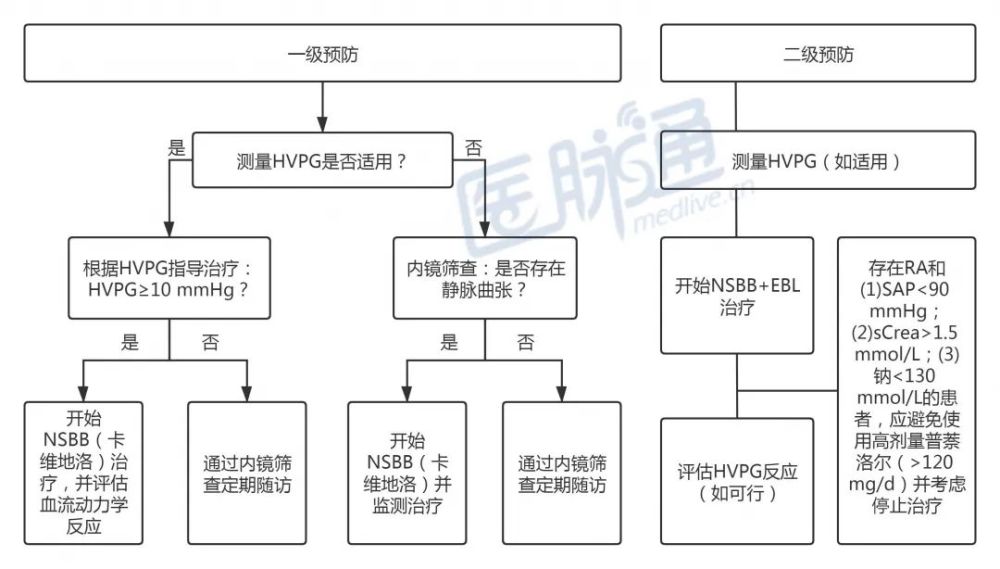 用藥方法:如何使用