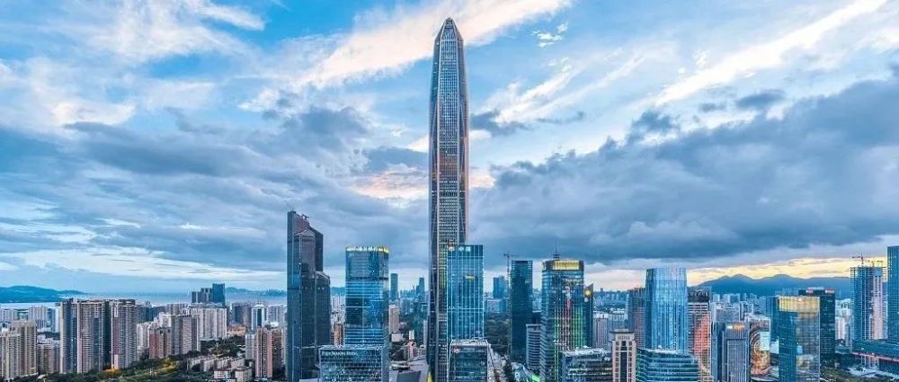 这只雨燕很阳光