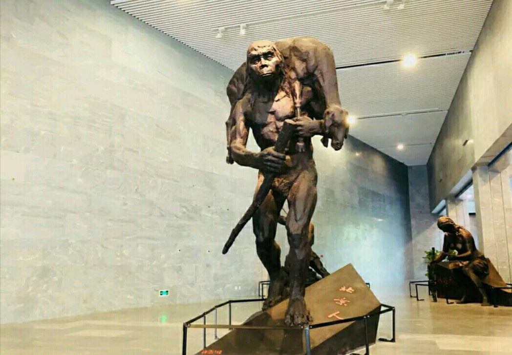 50万年前的秘密北京猿人没混到食物链顶却成了蚕食同类的恶魔