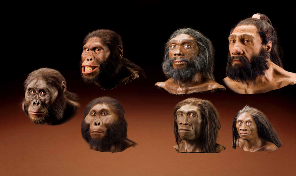 国家地理权威出品160余幅藏品照片完整展现人类进化史科学图书馆