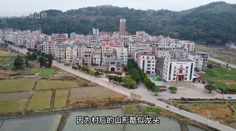 福建马鼻龙头村资产过亿的富豪数十人村内全是大洋房