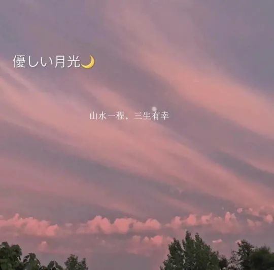 文案适合毕业季在这个夏天写进同学录的温柔文案