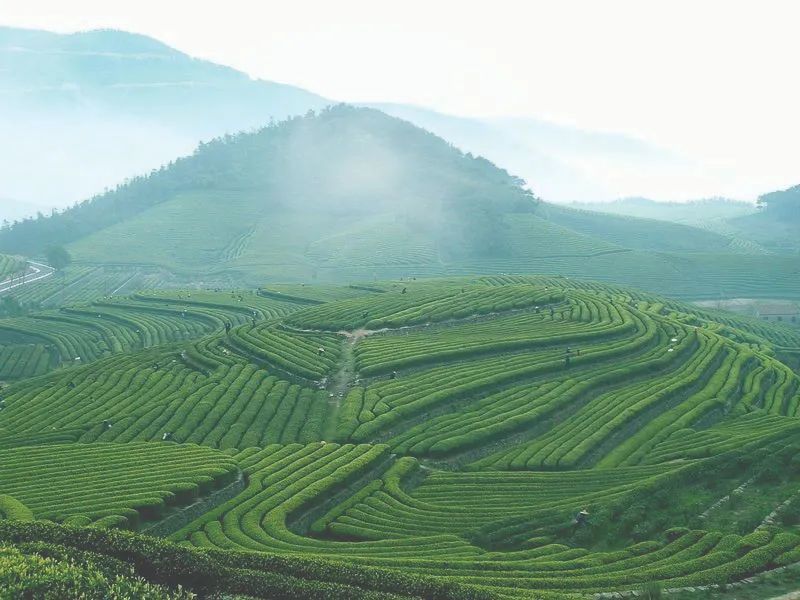 安溪得自然而灵得人文而异