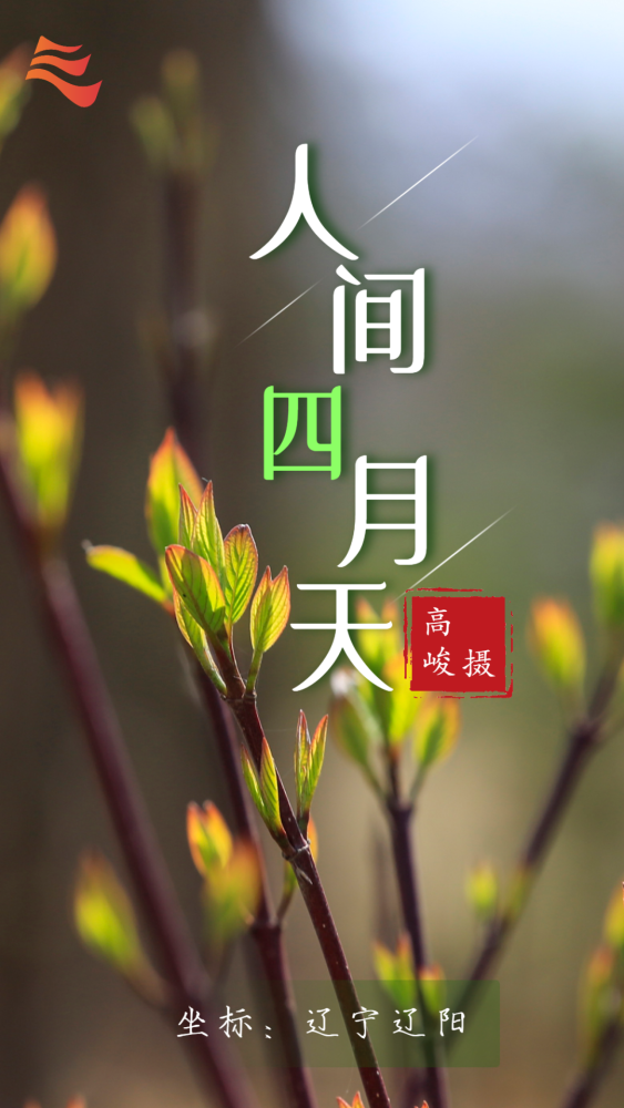 再见了人间最美四月天
