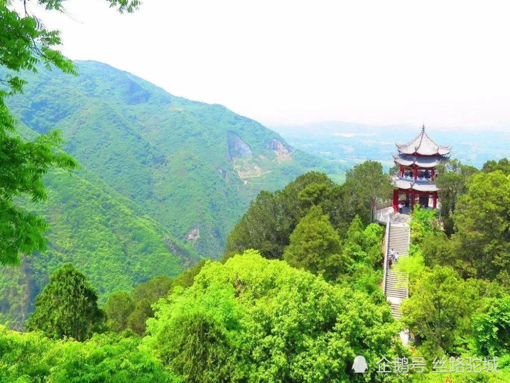 漢中市西鄉縣堰口鎮名山秀水花海綠茶美如畫