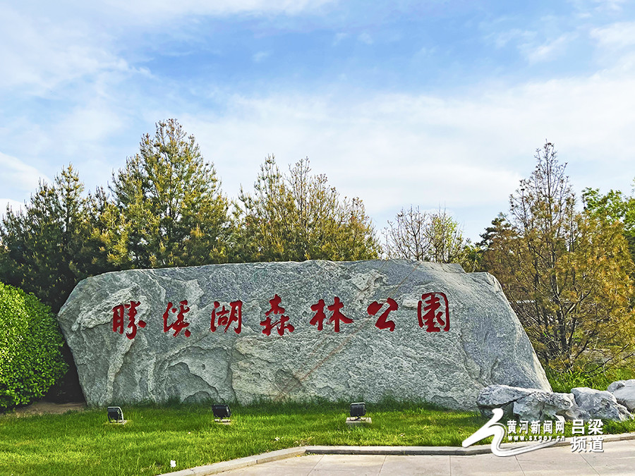 乐此一游孝义市胜溪湖森林公园