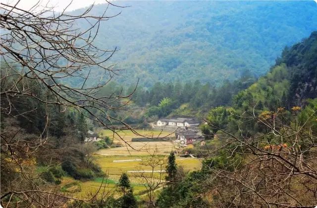 每年12月,红枫满山山间田野,村口巷尾,一派万紫千红桥溪村阴那山下的