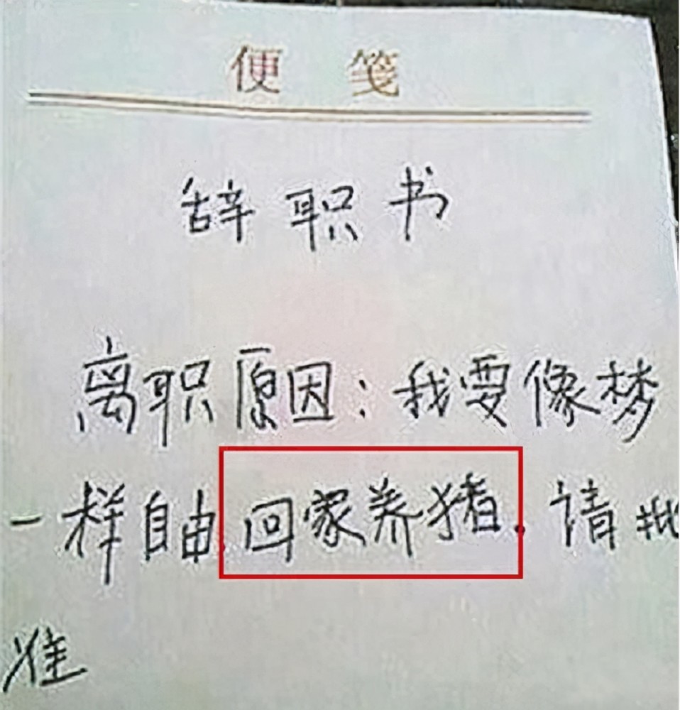 00后毕业生辞职信走红离职理由过于嚣张网友感叹任性的年轻人