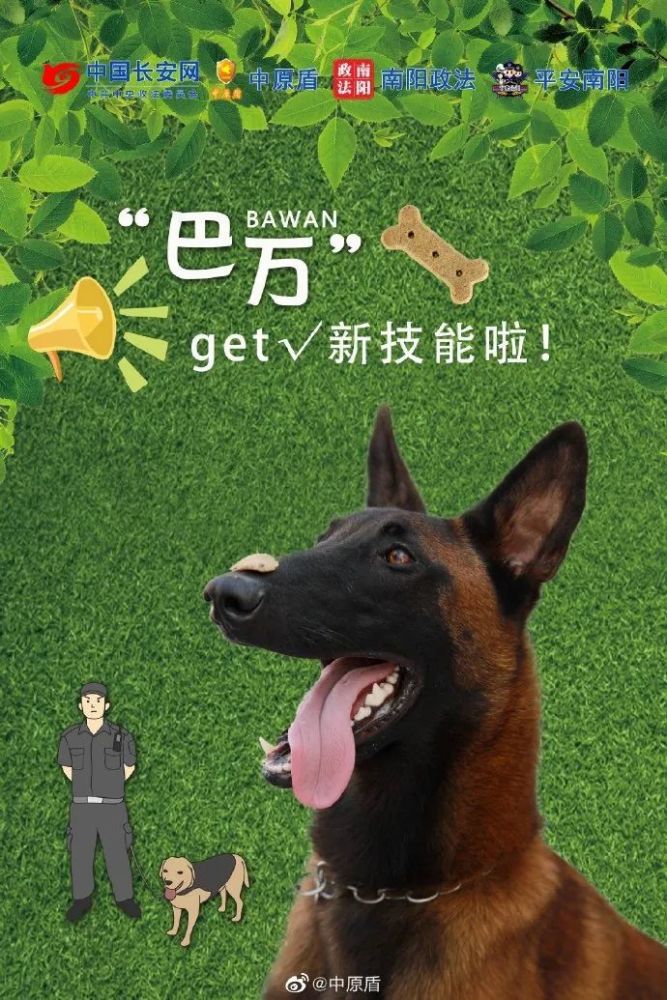 励志史巴万凭借自己努力从一只流浪犬逐渐成长为一只预备警犬一直到