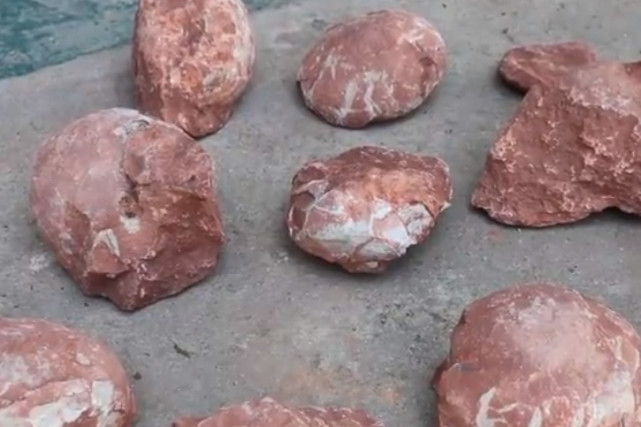 骇人听闻江西一处工地挖出6600万年前恐龙蛋化石网友看饿了