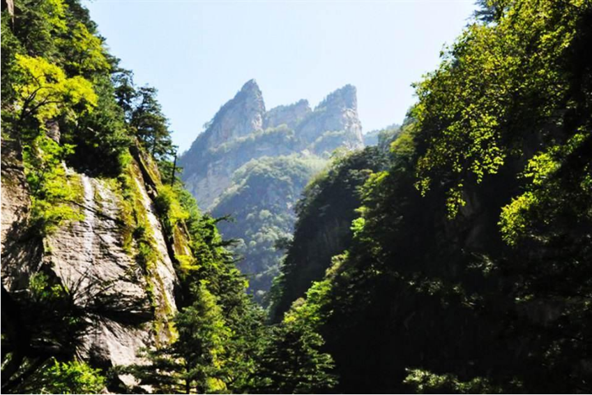 青峰峽森林公園位於寶雞市太白縣美麗的桃川鎮,是一座天然的大峽谷