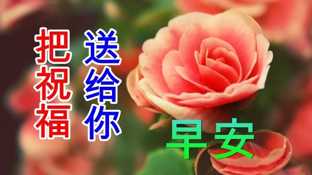 迎接五月最新清晨早安問候祝福語大全祝收到的朋友健康平安好事不斷