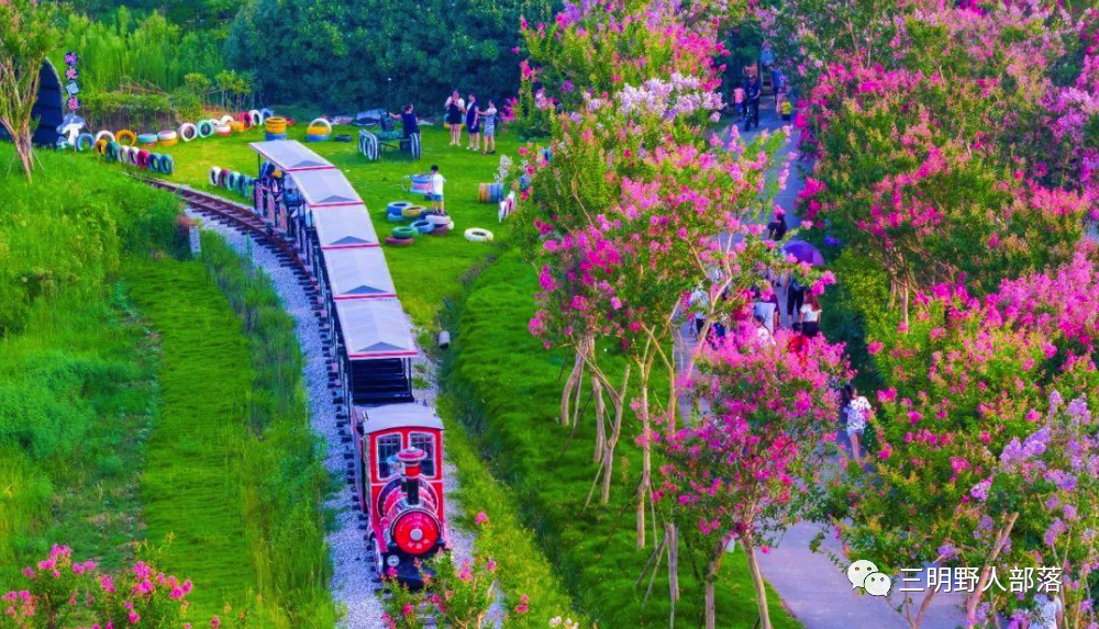 三明万寿岩花海图片