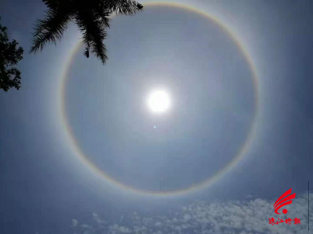 廣東天空的太陽出現日暈今天中午朋友圈率先刷爆