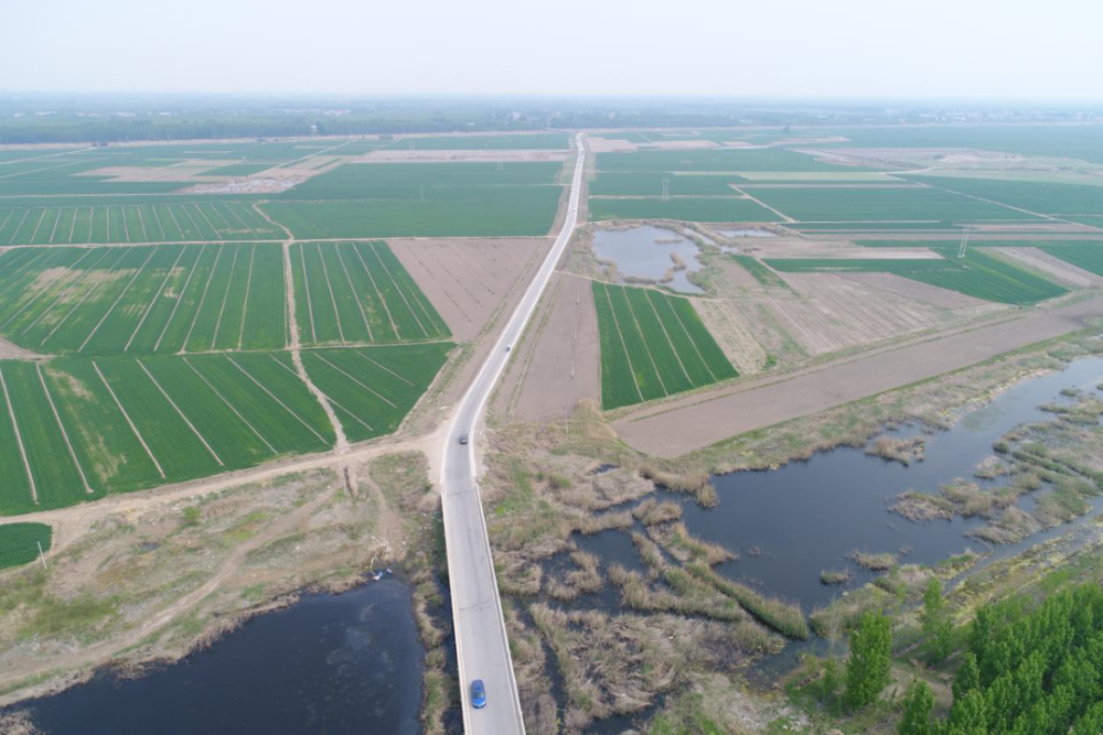 路宽了心安了雄县苟各庄镇筑牢安全通道