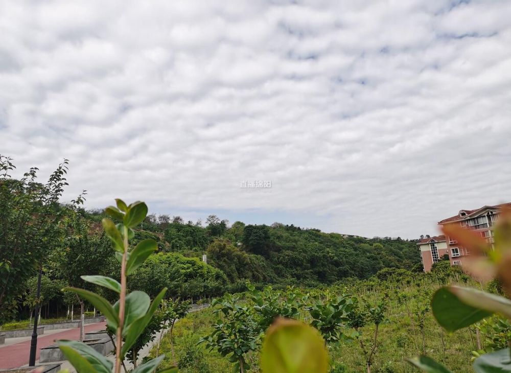 绵阳又一超大公园即将开建在哪里怎么建戳