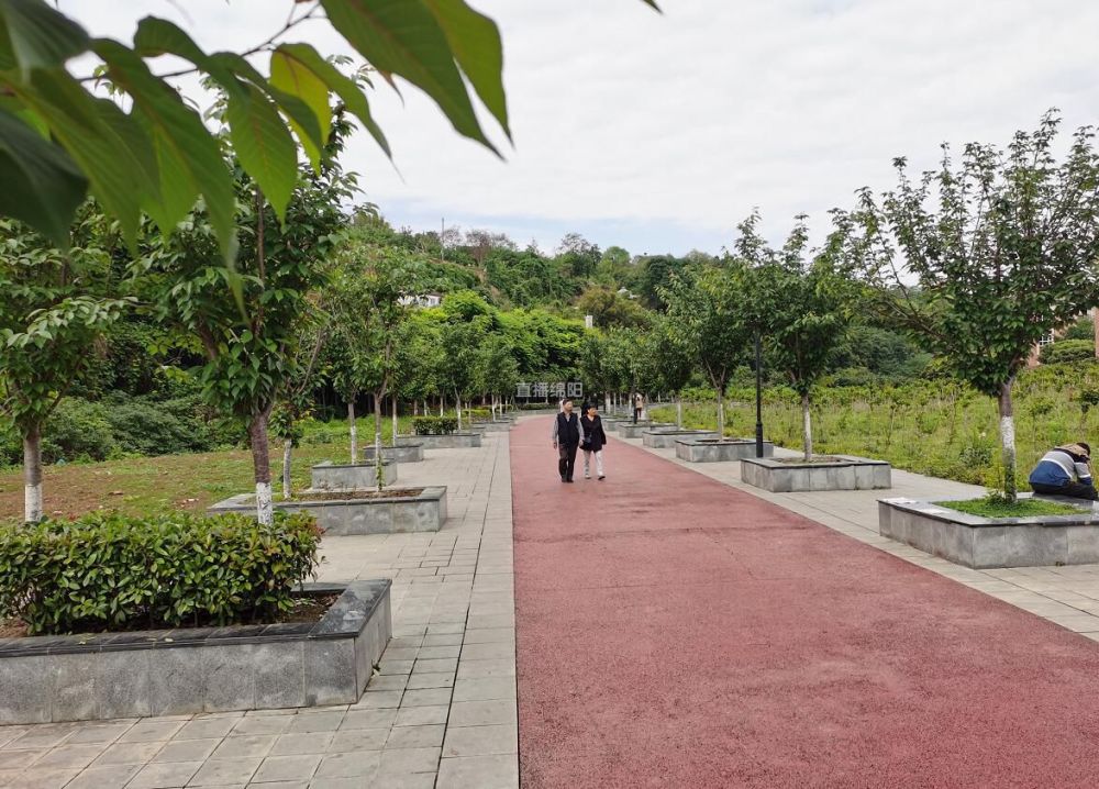 绵阳又一超大公园即将开建在哪里怎么建戳