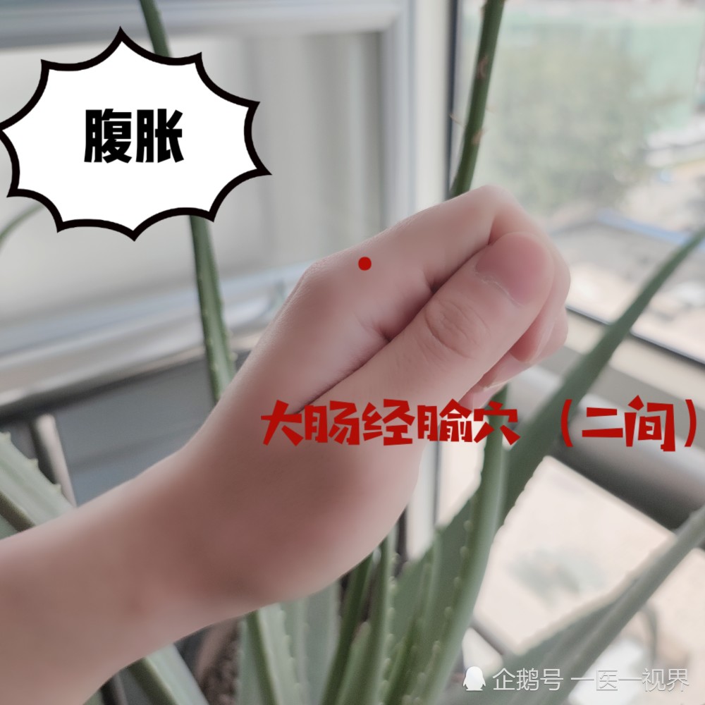 约当第一掌骨中点桡侧,赤白肉际处.