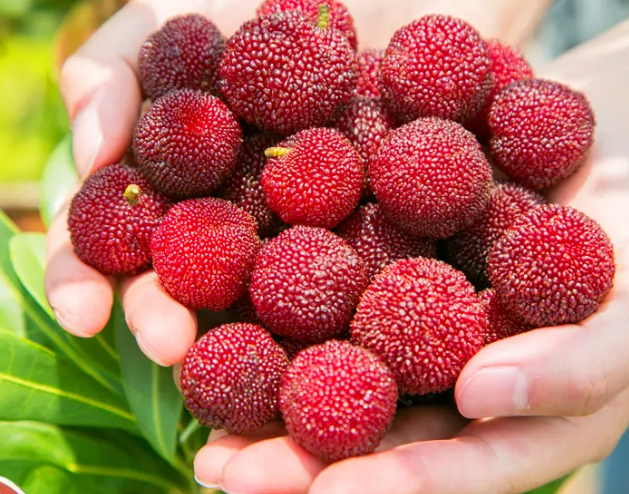 惠州酒店排行_惠东五一火了!这个排名位居全国县域前三……