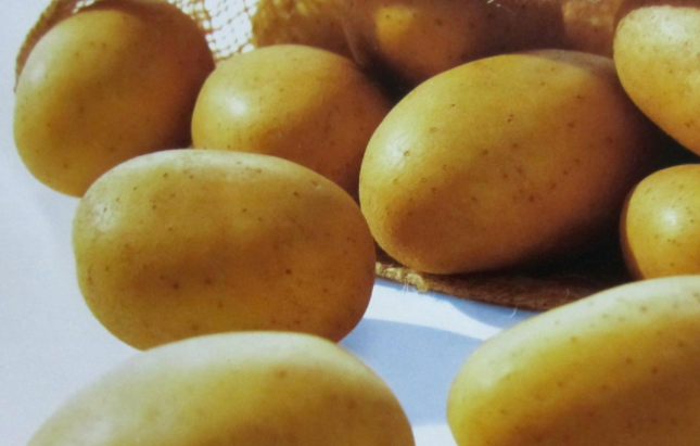 春季养生 马铃薯的食疗功效 低音号养生 腾讯新闻