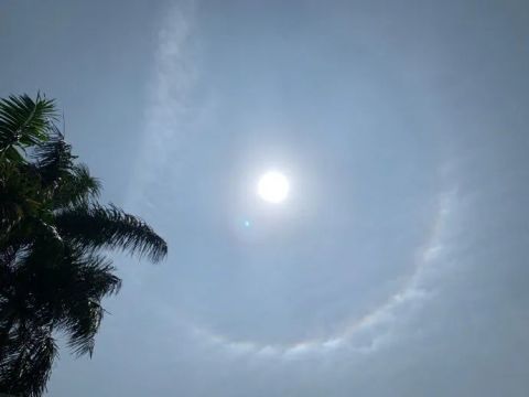 快抬头广州今天的太阳刷屏啦