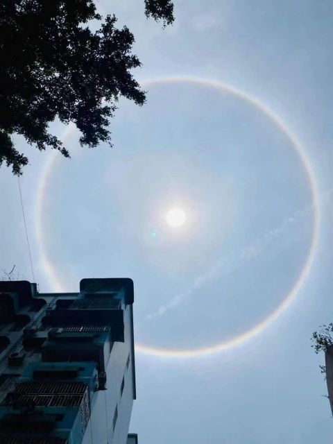 快抬头广州今天的太阳刷屏啦