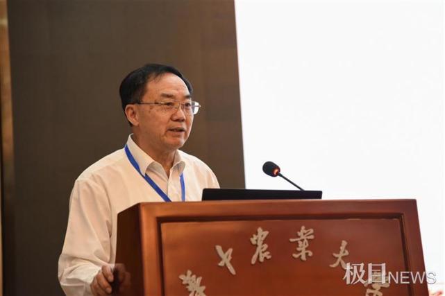 湖北洪山实验室举办首次盛会，湖北水稻大会在华农举行_腾讯新闻