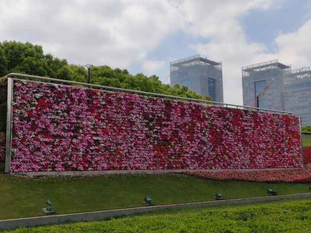 鮮花為筆畫出五一花瀑浦東這些地標變花境個個出片