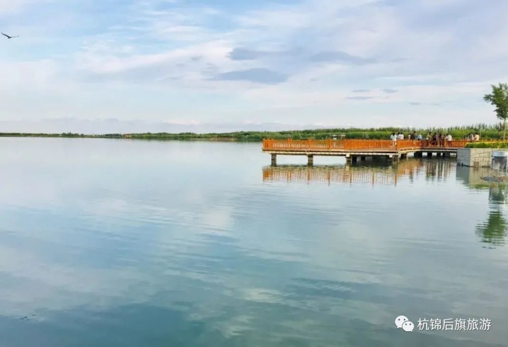 旅游区二娃农莊来杭锦后旗赏梨花-沙海镇01梨园梨花节02润昇风情农庄