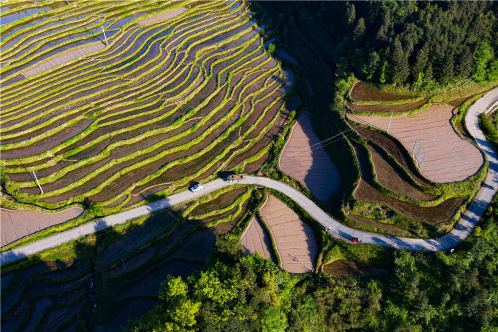 前些年,这些梯田多数撂荒.