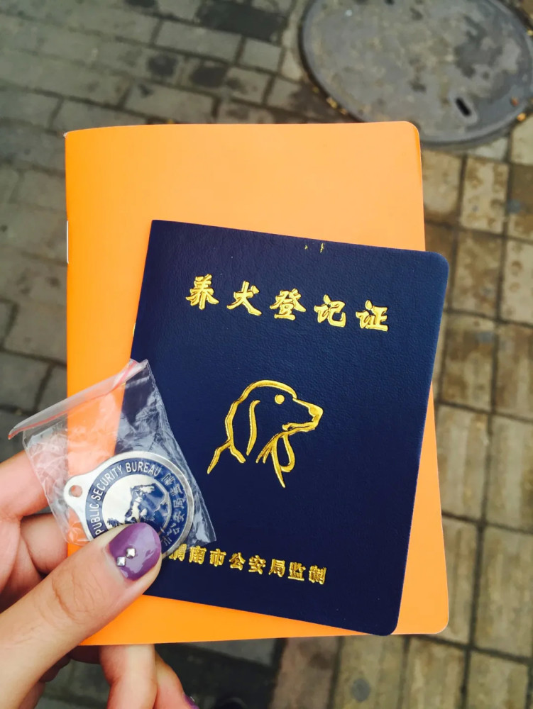 狗证怎么办全国通用吗5月1日起遛狗不牵绳养狗不办证违法