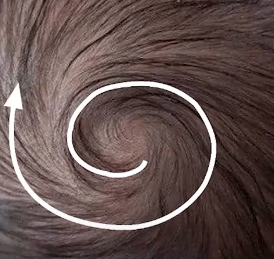 一旋横俩旋拧仨旋打架不要命宝宝的头旋其实是一串神奇密码