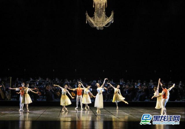 组合新颖 阵容豪华 五大院团演绎"春天的芭蕾"|哈尔滨交响乐团|芭蕾舞