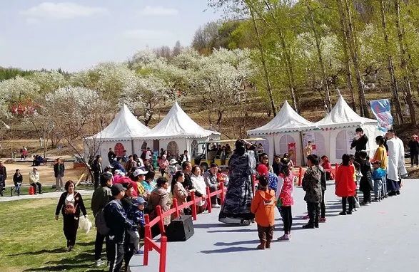 长春莲花山百年梨园今日免费开园