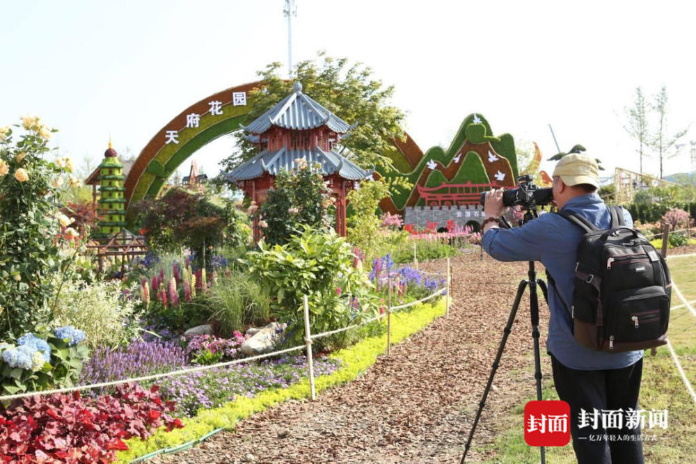 五一新玩法一起去賞花花漾蓉城成都花展正式開展啦