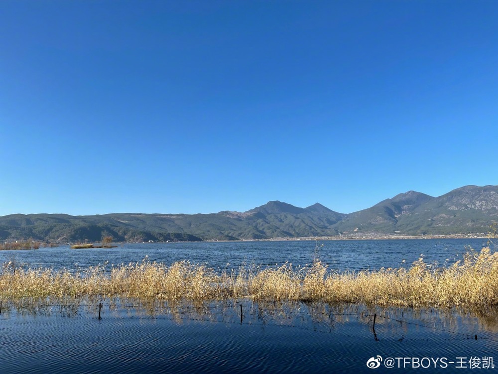 王俊凯的旅行明信片请注意签收